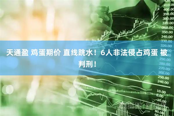 天通盈 鸡蛋期价 直线跳水！6人非法侵占鸡蛋 被判刑！