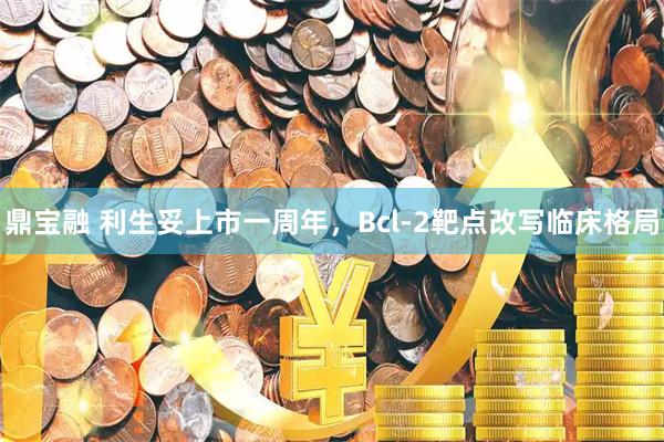 鼎宝融 利生妥上市一周年，Bcl-2靶点改写临床格局
